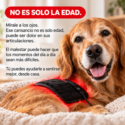 LumaPaw™ Terapia de Luz Roja para Articulaciones y Movilidad