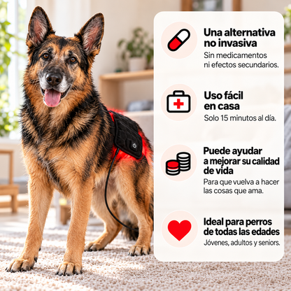 LumaPaw™ Terapia de Luz Roja para Articulaciones y Movilidad