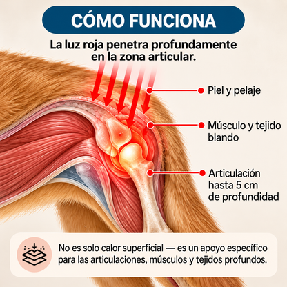 LumaPaw™ Terapia de Luz Roja para Articulaciones y Movilidad
